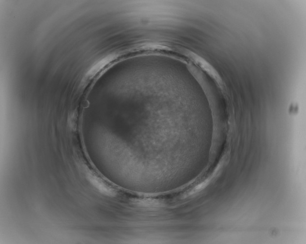 X0000091850785200709051145