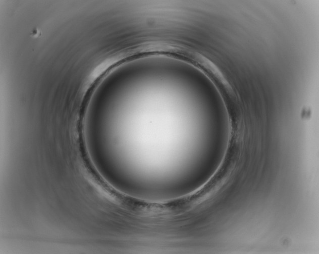X0000091850786200709051145