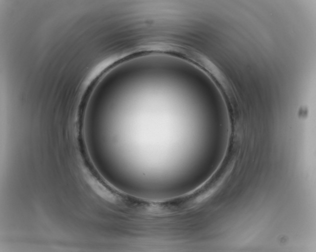 X0000091850787200709051145