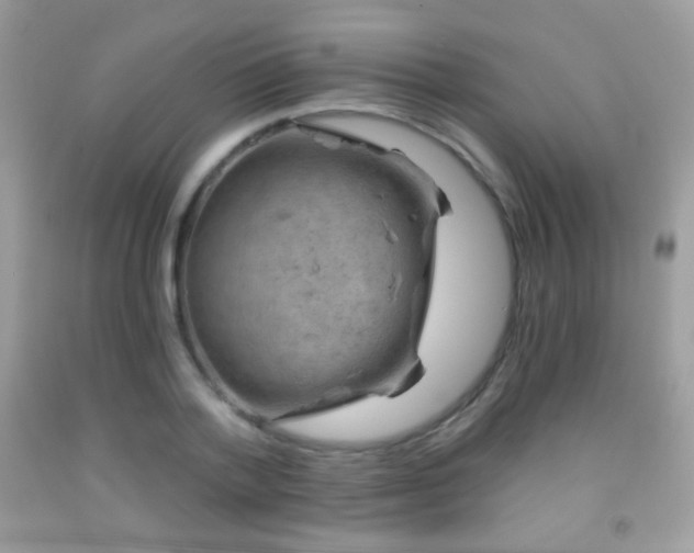 X0000091850788200709051145