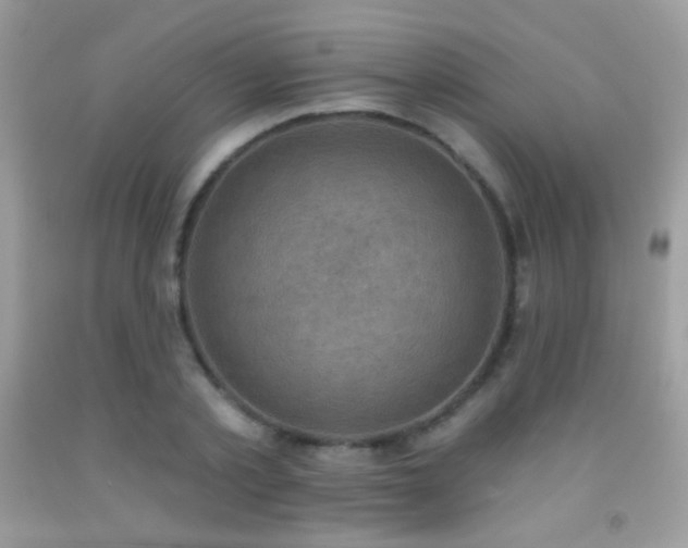 X0000091850789200709051145