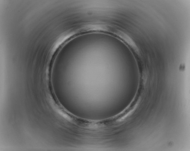 X0000091850790200709051145