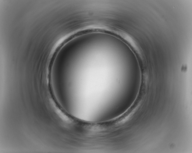 X0000091850791200709051145