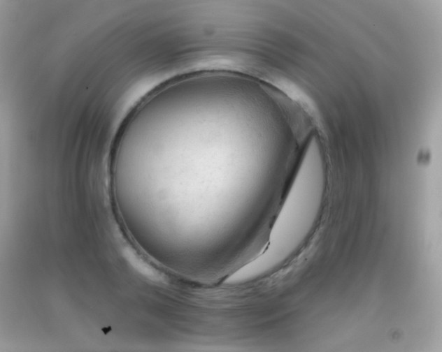 X0000091850792200709051145