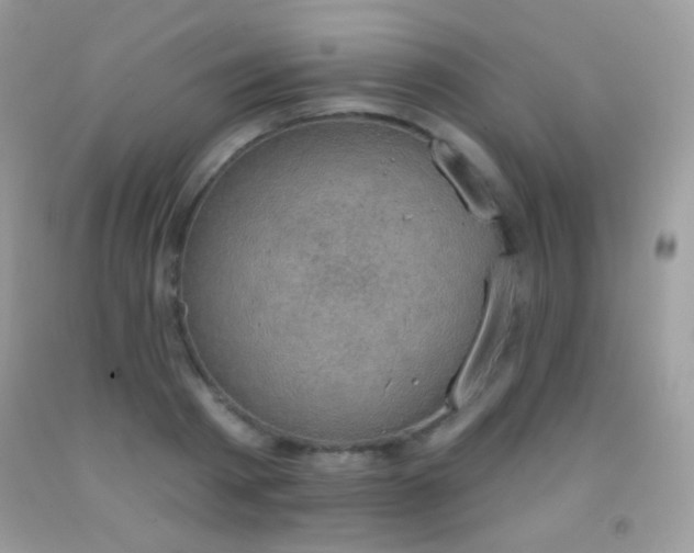 X0000091850793200709051145