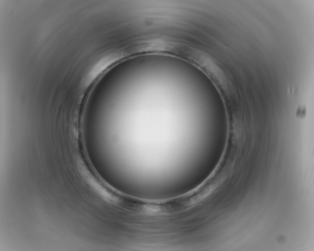 X0000091850794200709051145