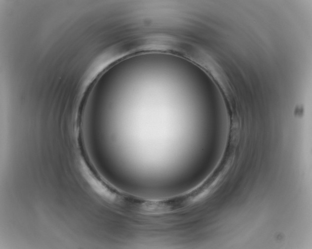 X0000091850795200709051145