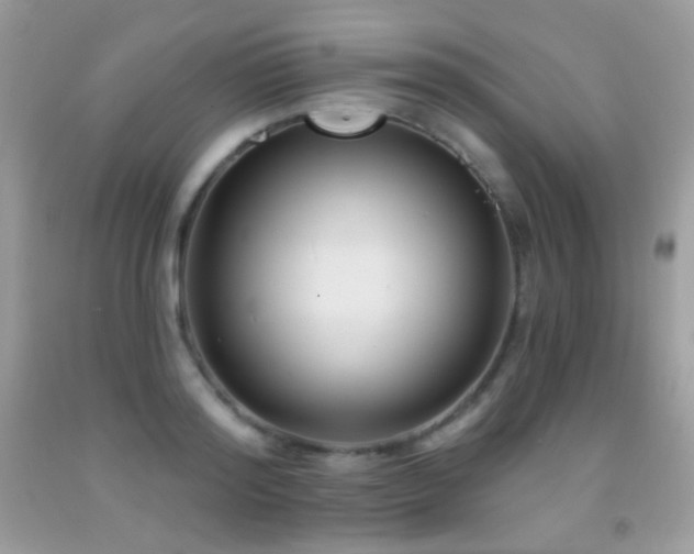 X0000091850796200709051145