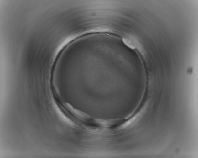 X0000091850797200709051145