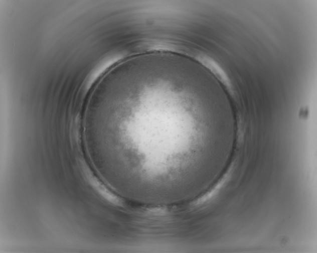 X0000091850798200709051145