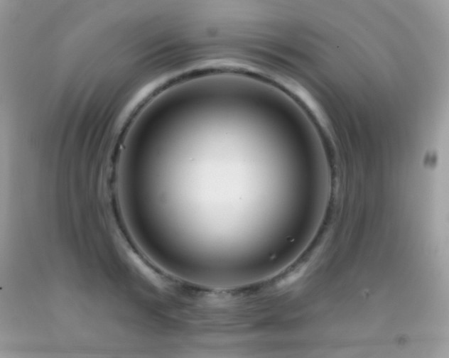 X0000091850799200709051145