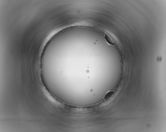 X0000091850800200709051145