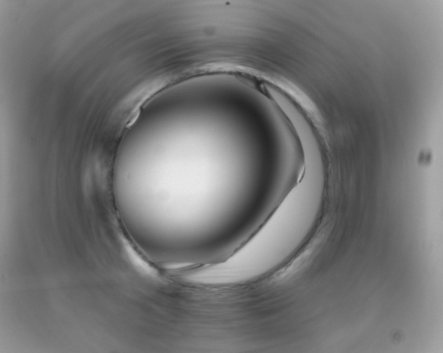 X0000091850801200709051145