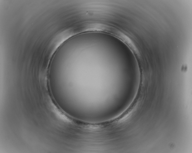 X0000091850802200709051145