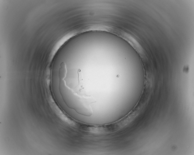X0000091850804200709051145