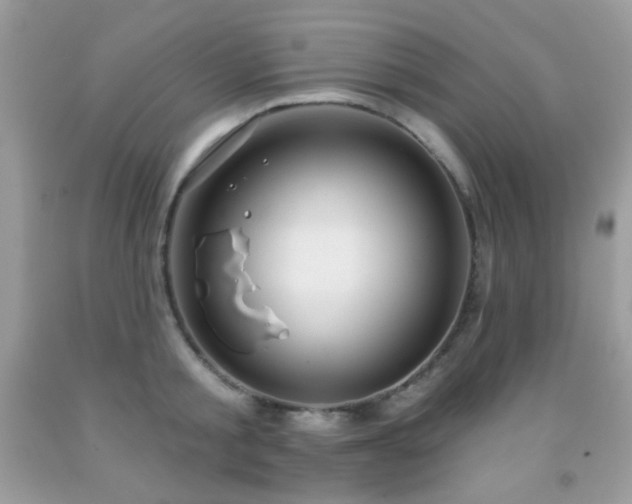 X0000091850805200709051145