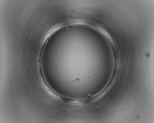 X0000091850806200709051145