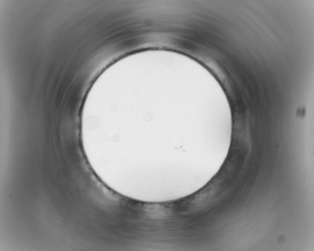 X0000091850807200709051145