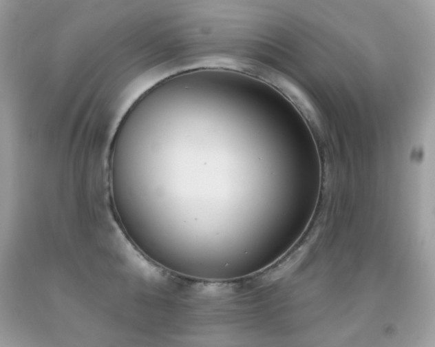 X0000091850808200709051145