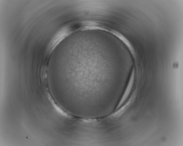 X0000091850809200709051145