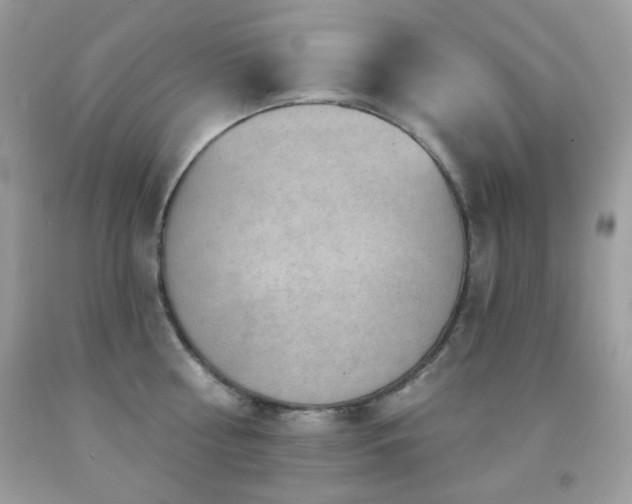 X0000091850810200709051145