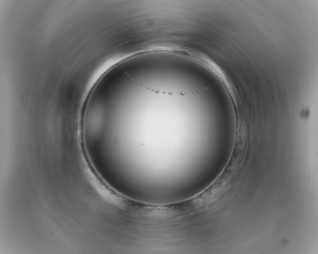 X0000091850811200709051145