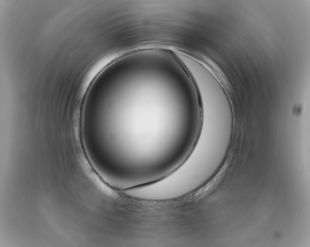 X0000091850812200709051145
