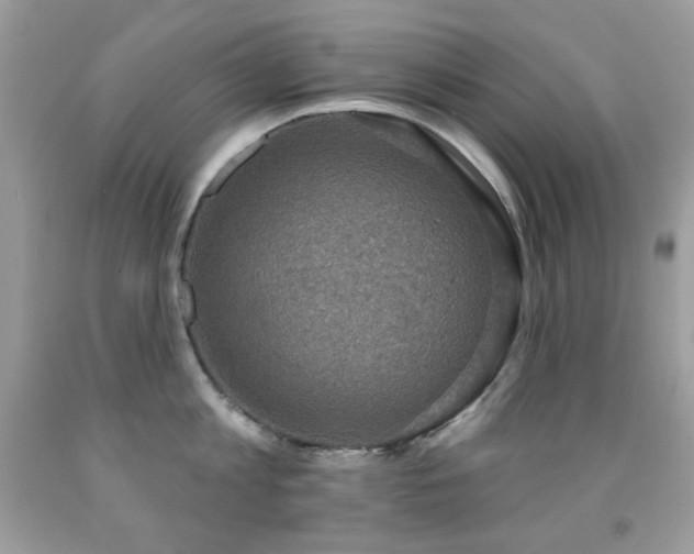 X0000091850813200709051145