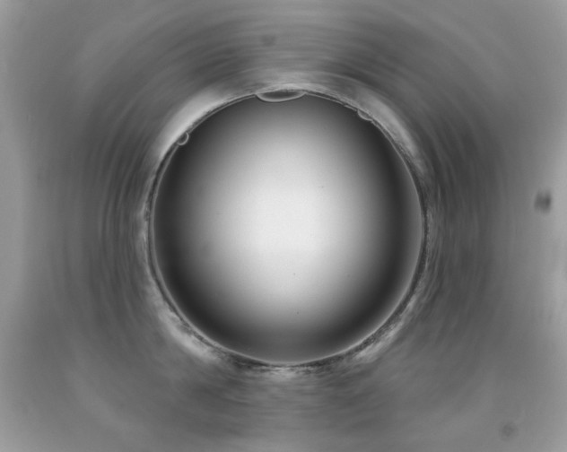 X0000091850814200709051145