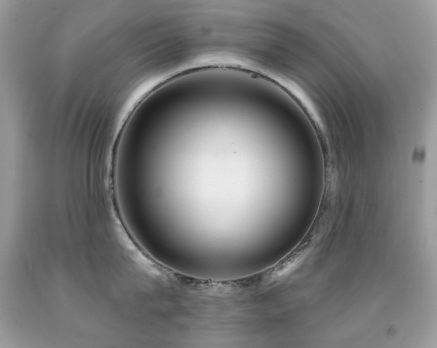 X0000091850815200709051145