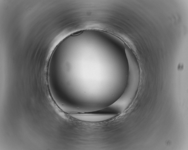 X0000091850816200709051145