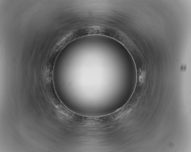 X0000091850819200709051144