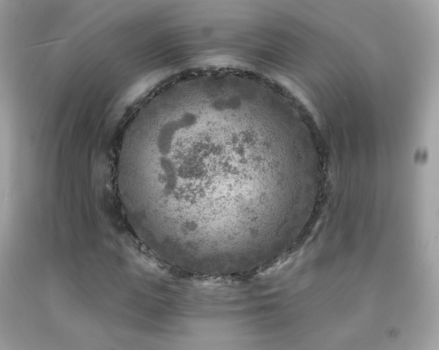 X0000091850823200709051145