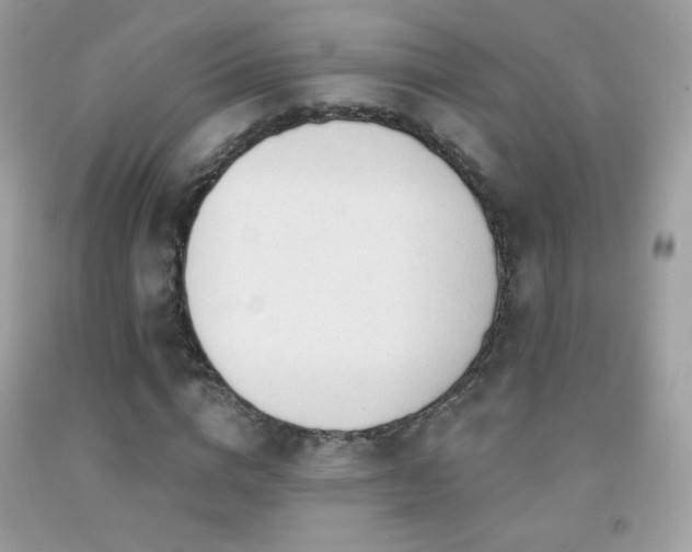 X0000091850824200709051145