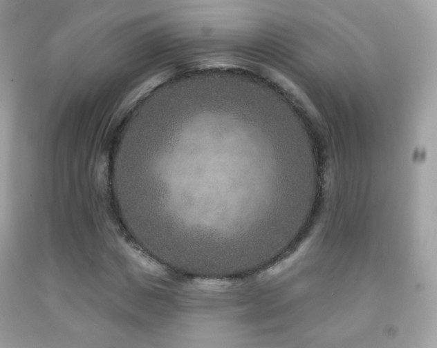 X0000091850825200709051145