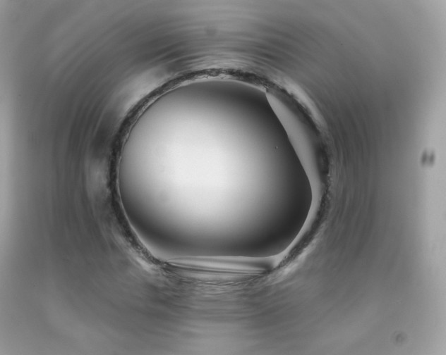 X0000091850826200709051145