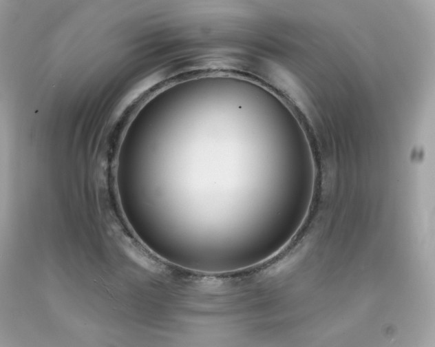 X0000091850827200709051145