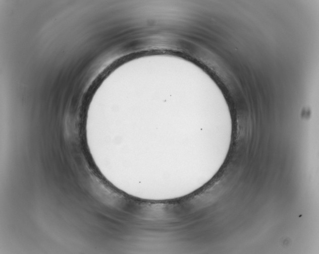 X0000091850828200709051145
