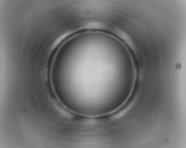 X0000091850829200709051145