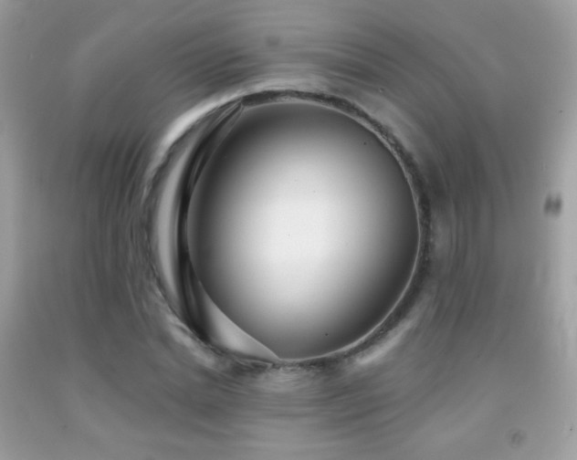 X0000091850830200709051145