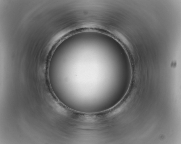 X0000091850831200709051145