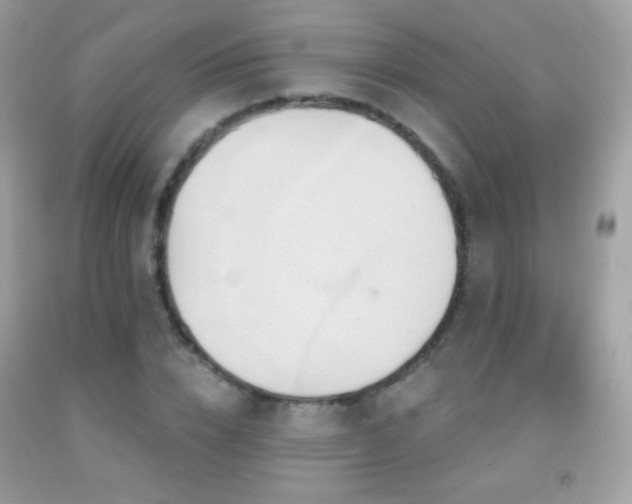 X0000091850832200709051145