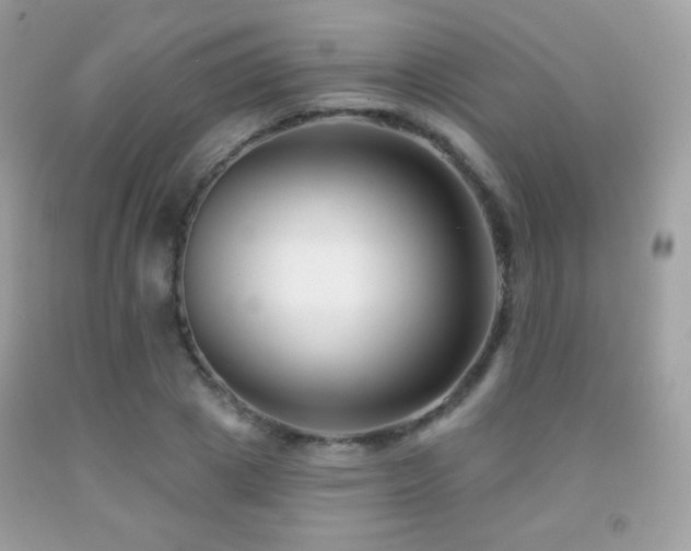 X0000091850833200709051145