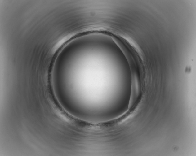 X0000091850834200709051145