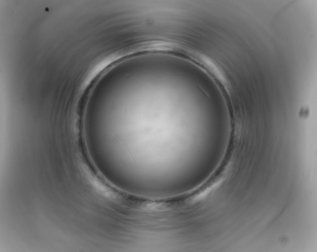 X0000091850835200709051145