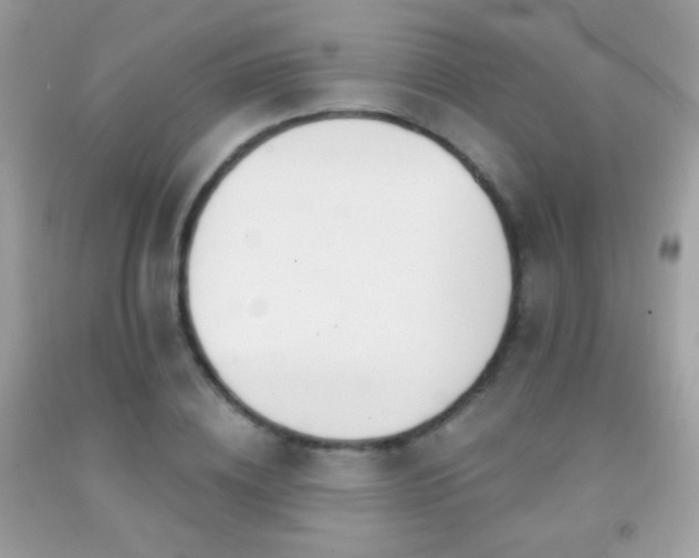 X0000091850836200709051145