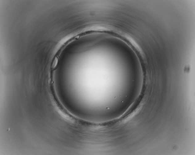 X0000091850837200709051145