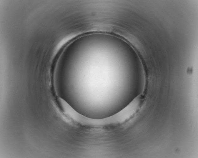 X0000091850838200709051145