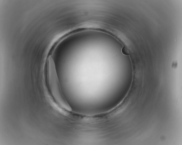 X0000091850840200709051145
