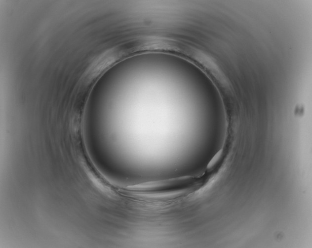 X0000091850841200709051145